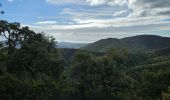 Tour Wandern La Londe-les-Maures - Valcros - Photo 11