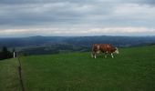 Excursión A pie Leutschach an der Weinstraße - Grenzpanoramaweg - Photo 1