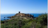 Tocht Stappen Cargèse - retour tour d'omigna. . Cargese  - Photo 1