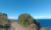 Trail Walking Argelès-sur-Mer - argeles - collioure / retour par la mer  - Photo 14