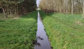 Excursión Senderismo Horst aan de Maas - Schadijkse Bossen - Photo 2