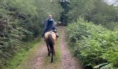 Trail Horseback riding Baztan - Elizondo - Urdax - Photo 12