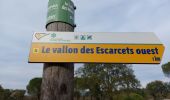 Trail Walking Le Cannet-des-Maures - 20240121 Les Escarcets  - Photo 7