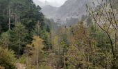 Randonnée Marche Calenzana - refuge de Carrozzu depuis Bonifatu - Photo 4