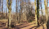 Trail Walking Huy - Vallon de Solières - Photo 4