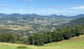 Excursión Senderismo Blanzac - Rachat - Chapelle de Chassaleuil - Photo 17