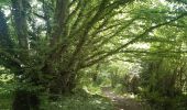 Tour Wandern Esneux - Mery . Bois Manant . Grande Cathédrale . Hayen . Mery - Photo 9