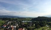 Percorso A piedi Wangen im Allgäu - Wanderweg 10 Wangen im Allgäu - Photo 4