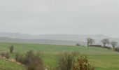 Tour Wandern Somme-Leuze - Sinsin - Photo 7