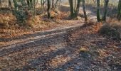 Tour Nordic Walking Cestas -  Reco Pinoche 22/12/2021 - Photo 15