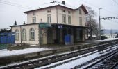 Randonnée A pied Eglisau - Eglisau Bahnhof - Rhinsberg Hochwacht - Photo 4