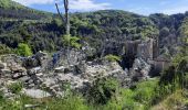 Tour Wandern Lus-la-Croix-Haute - Antécime de La Toussière - Photo 1