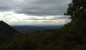 Tour Wandern Piégon - Piegon boucle Gros Mourre - Photo 1