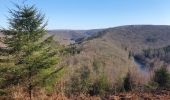 Trail Walking Florenville - rando herbeumont 8-03-2022 - Photo 9