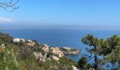 Tour Wandern Théoule-sur-Mer - Autour de Theoule - Photo 14