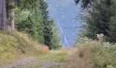 Tour Wandern Laval-en-Belledonne - PETITE RANDONNEE AU DEPART DU PONT DE LA BETTA  - Photo 19