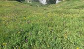 Trail Walking Courchevel - Courcheveles crete charbet, petit mont blanc - Photo 16