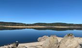 Tour Wandern Rocles - Palhères - lac de Naussac - Bessettes - Photo 6