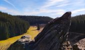 Trail Walking Büllingen - Rocher du Bieley   - Photo 7