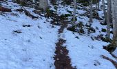 Tour Wandern Saint-Ferréol - Roc de Viuz - Photo 1