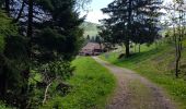 Trail Walking La Bresse - Montagne Lama - La Bresse  - Photo 3