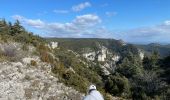 Randonnée Marche Bonnieux - PF-Bonnieux - Massif des Cèdres - Roque des Bancs - Les Portalas - AT - Photo 5