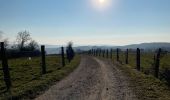 Tocht Stappen Aubange - Les étangs de Battincourt depuis Rachecourt  - Photo 2