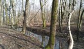Tour Wandern Sentheim - Autour des quatres villages - Photo 9