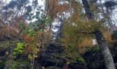 Tour Wandern Echternach - mullerthal e1 - Photo 18