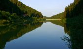 Tour Zu Fuß Vöhrenbach - DE-noch unvollständig, geht weiter - Photo 3