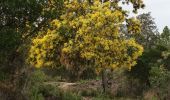 Tour Zu Fuß Roquebrune-sur-Argens - Lac des Clos-Roquebrune/Argens-01-03-23 - Photo 9