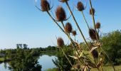 Tocht Stappen Taugon - route de l eau - Photo 10