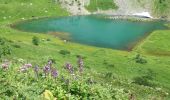 Tocht Stappen Abondance - LAC ET ROC DE TAVANEUSE - Photo 2