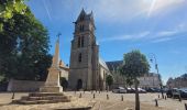 Tocht Stappen Chaumes-en-Brie - Châteaux autour de Chaumes en Brie - Photo 9