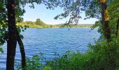 Tocht Stappen Bütgenbach - butgenbach tour du lac  - Photo 3