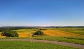 Tour Zu Fuß Silbernachen - Circuit du Mont Saint-Pierre - Photo 2