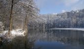 Excursión A pie Vaihingen an der Enz - Blauer Punkt, Horrheim - Fleckenwald - Photo 4