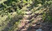 Trail Walking Unknown - Reco-siscaro-2022-05-27-ajusté - Photo 17