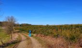 Tour Wandern Bièvre - Balade de Petit-Fays à Monceau en Ardenne - Photo 6