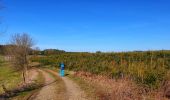 Trail Walking Bièvre - Balade de Petit-Fays à Monceau en Ardenne - Photo 6