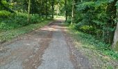 Trail Walking Villechauve - Villechauve 41310 - Photo 5