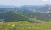 Trail Walking Verchaix - col de joux plane - Photo 9