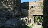 Randonnée A pied Bacharach - Rheinburgenweg Zugangsweg Ruine Stahlberg - Photo 2