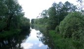 Excursión A pie Lübben (Spreewald) - Rundwanderweg Batzlin - Photo 5