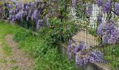 Trail Walking Saint-Raphaël - z le jardin de Diane 09-04-24 bis - Photo 10