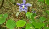 Trail Walking Geville - Gironville sous les côtes - Photo 17