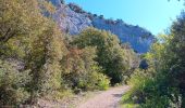 Tour Wandern Villes-sur-Auzon - entre Auzon et le GR du massif du Ventoux - Photo 12