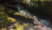 Tour Wandern Mont Lozère et Goulet - Château de Tournel - Photo 5