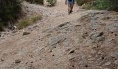 Trail Walking Le Malzieu-Ville - LE MALZIEU - APCHER  - Photo 15
