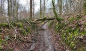 Tour Wandern Somme-Leuze - Nettine 020224 - Photo 12